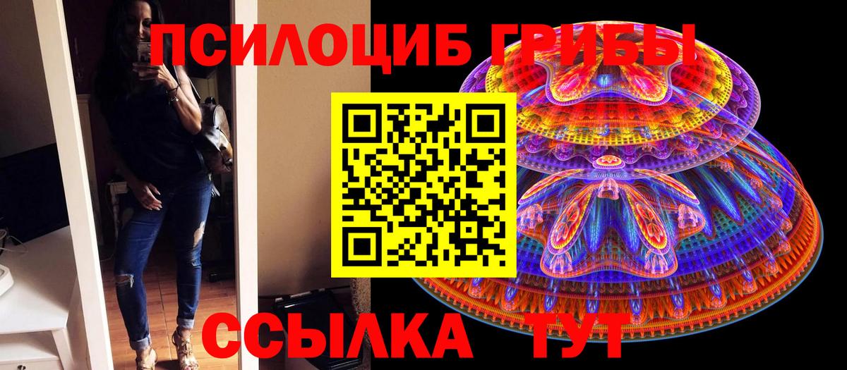 Псилоцибиновые грибы ЛСД Муром